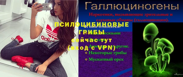 винт Арсеньев
