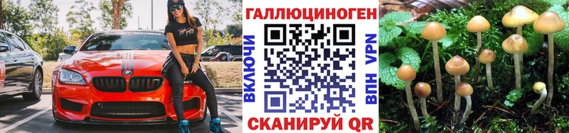 Галлюциногенные грибы прущие грибы  как найти   мориарти формула  Межгорье 